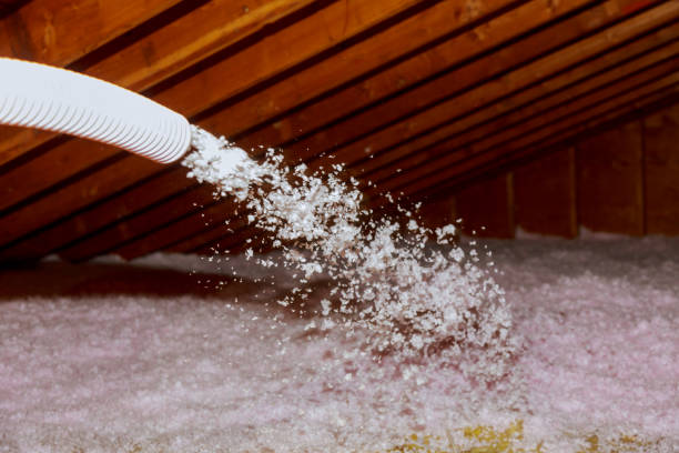 Best Cellulose Insulation  in Slayton, MN