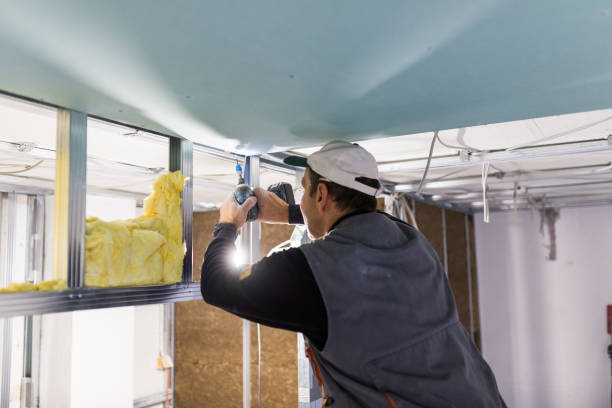 Best Professional Insulation Contractor  in Slayton, MN