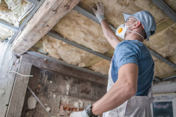 Best Spray Foam Insulation  in Slayton, MN