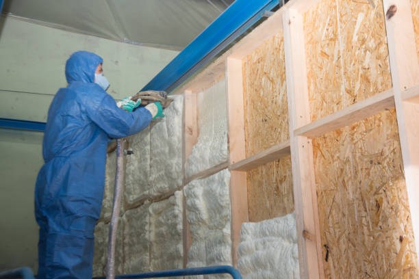 Best Blown-in Insulation  in Slayton, MN